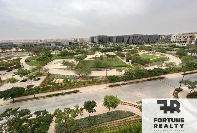 8506143 - Property Image 3