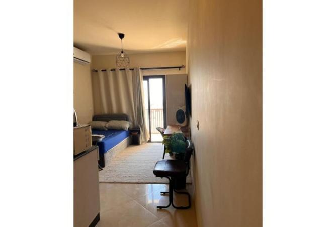 8233632 - Property Image 3