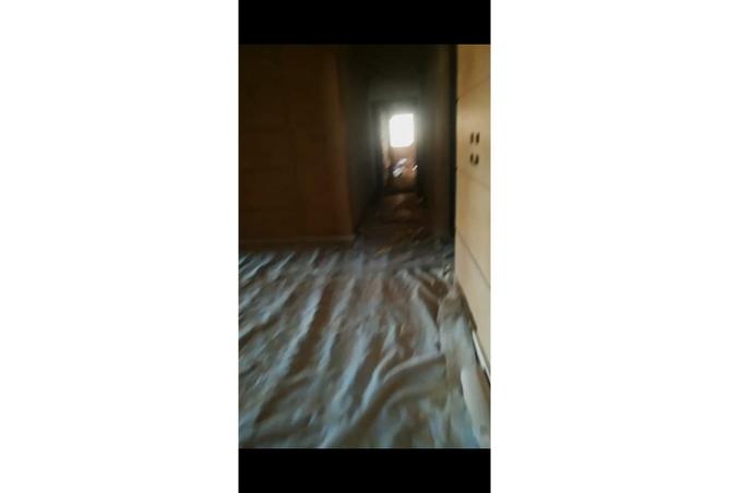 7980072 - Property Image 2