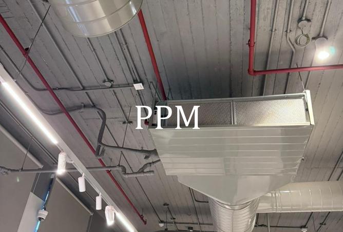 8447079 - Property Image 3