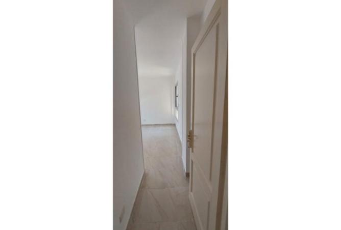 8236662 - Property Image 3