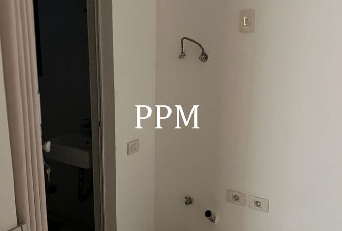 8381612 - Property Image 3