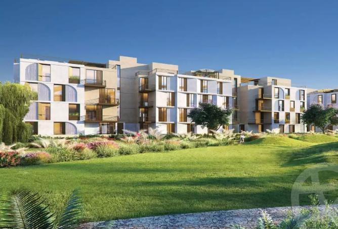 8264398 - Property Image 3