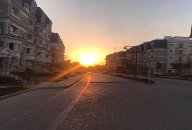7977526 - صورة العقار 3