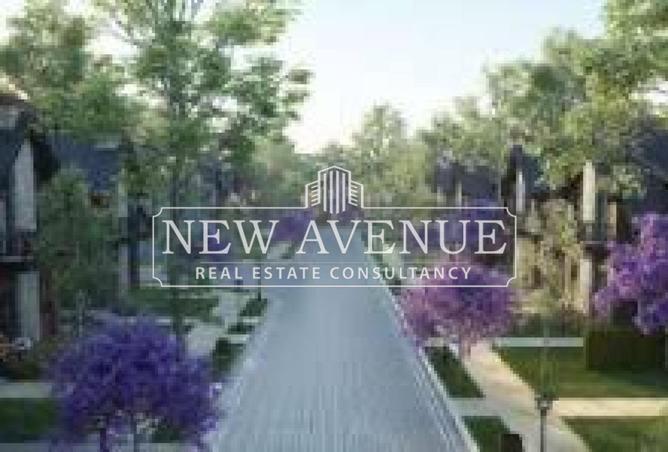 8305609 - Property Image 3