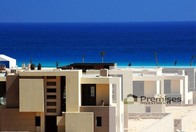 7916161 - Property Image 3