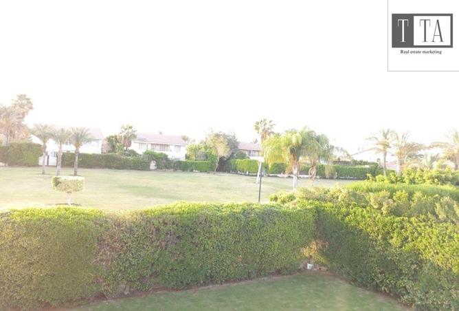 8008031 - صورة العقار 3