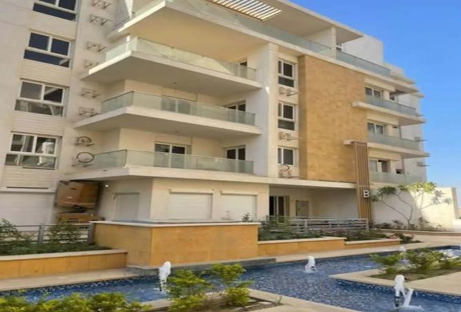 7981642 - Property Image 3