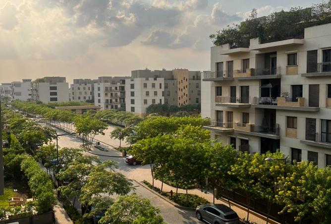 8239847 - Property Image 3