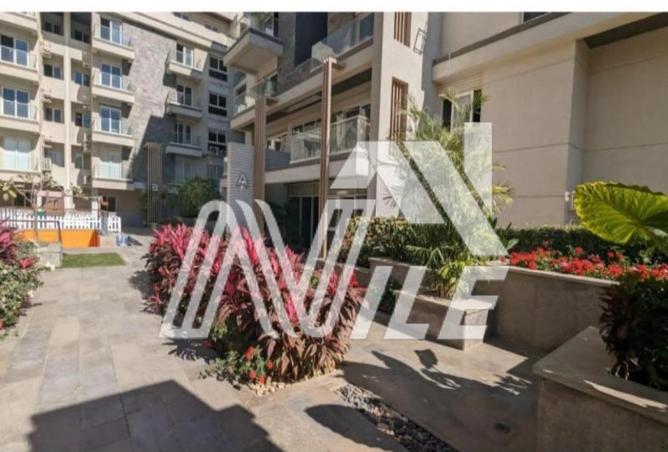 8132147 - Property Image 2