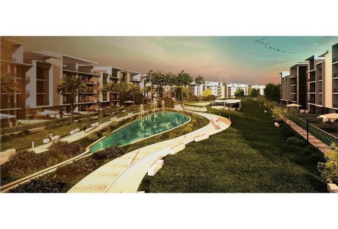 8140412 - Property Image 3