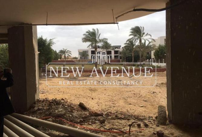 8226485 - Property Image 3