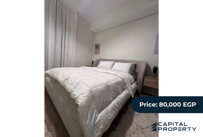 8099391 - Property Image 2