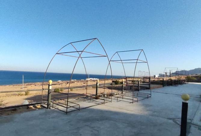 7710535 - صورة العقار 3