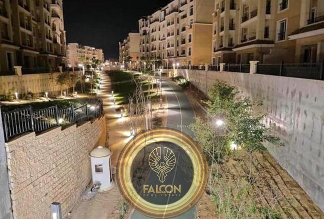 8447406 - Property Image 3