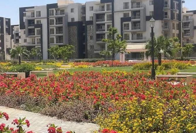 8063805 - الصورة الرئيسية للعقار