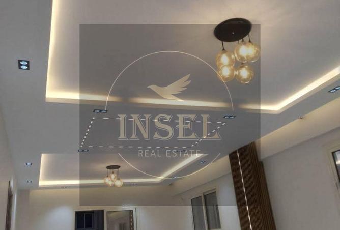 8429381 - Property Image 3