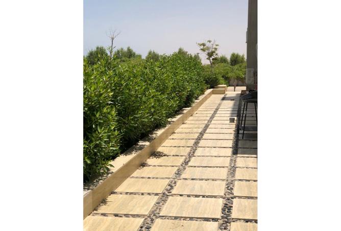 7905378 - صورة العقار 2