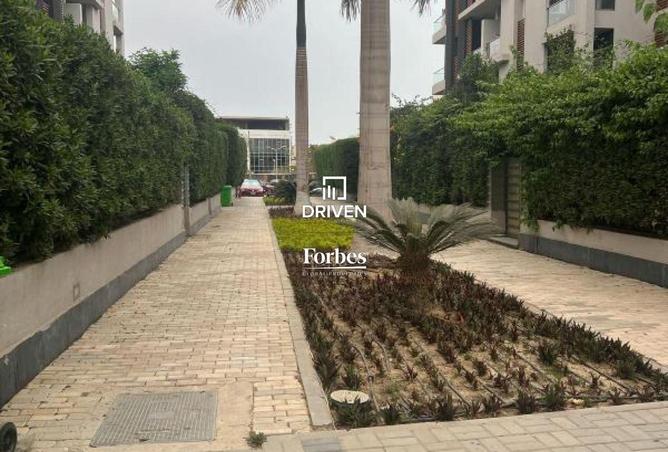 8188103 - صورة العقار 2