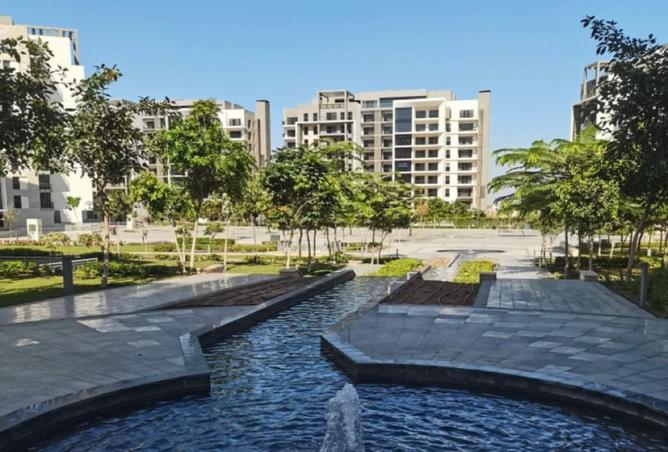 8323593 - صورة العقار 3