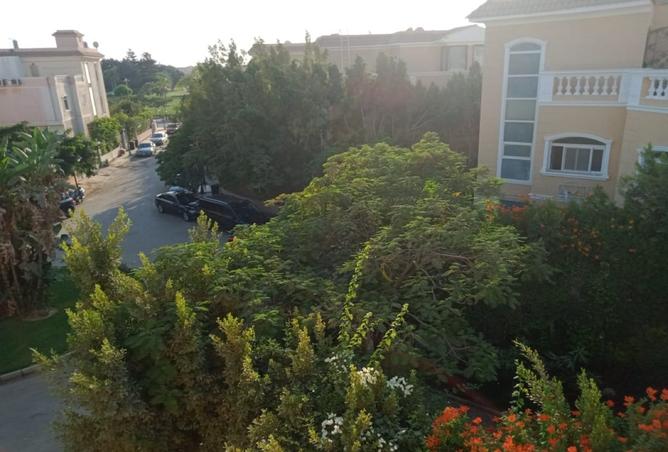 8106201 - Property Image 3