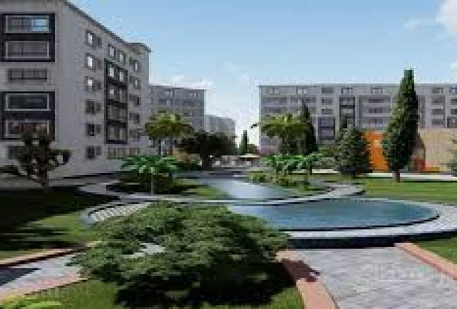 8348591 - Property Image 3