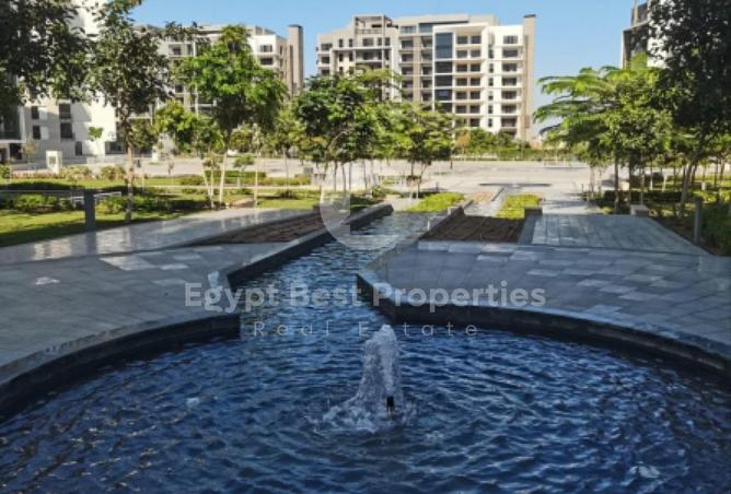 7904567 - صورة العقار 2