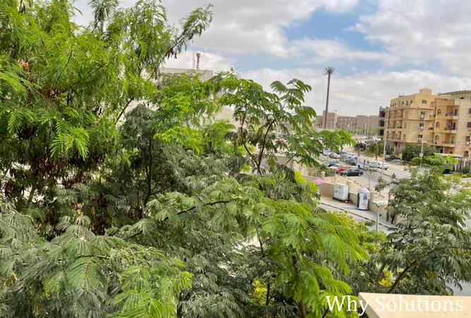 8282423 - Property Image 3