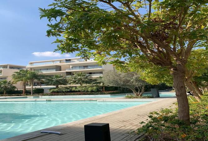 8336947 - Property Image 3