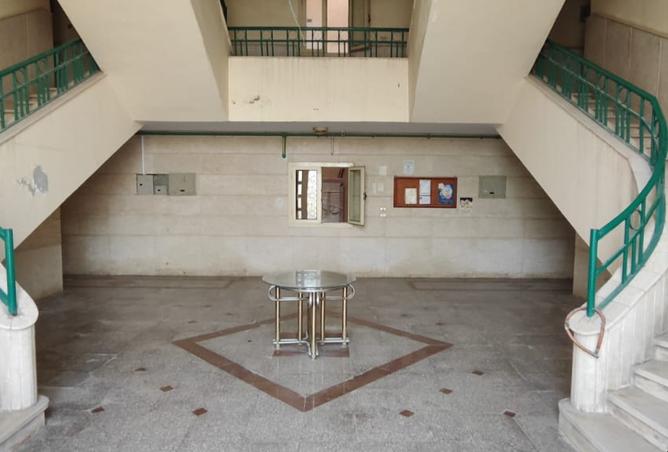 8135735 - Property Image 3