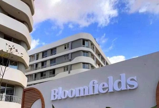 8259744 - الصورة الرئيسية للعقار