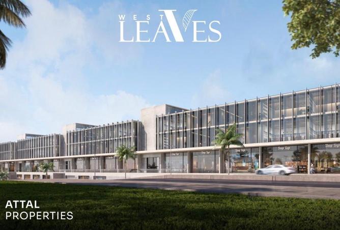 8323675 - صورة العقار 3