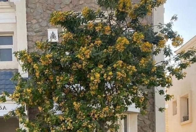 8242359 - Property Image 3