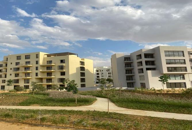 8288238 - صورة العقار 3