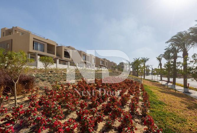 8296360 - Property Image 3