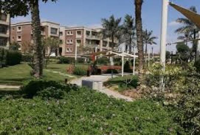 7904768 - صورة العقار 3