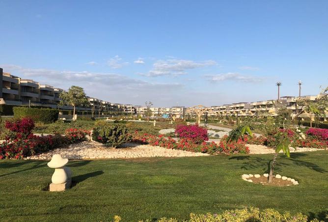 8427848 - صورة العقار 2