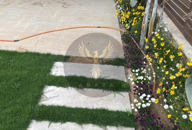 8423325 - Property Image 3