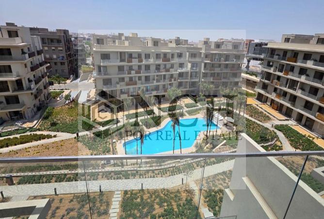 8146545 - Property Image 3