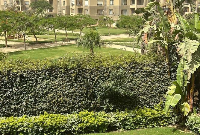 8288055 - الصورة الرئيسية للعقار