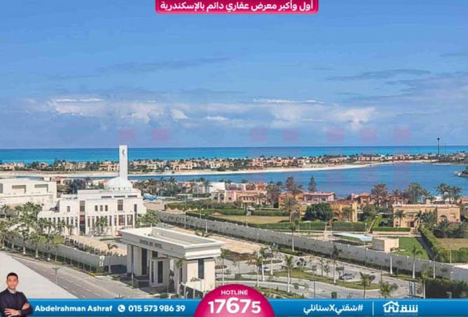 8429462 - Property Image 3