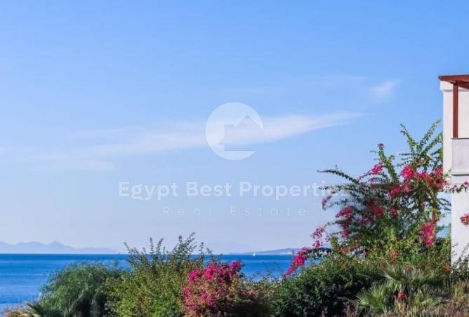 7924689 - الصورة الرئيسية للعقار