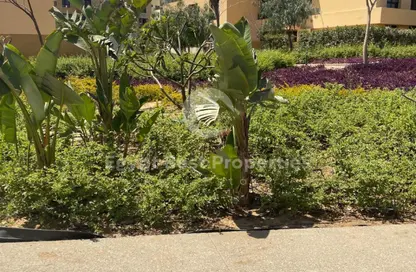 Apartment - 4 Bedrooms - 5 Bathrooms for sale in Palm Parks   Palm Hills - South Dahshur Link - 6 October City - Giza