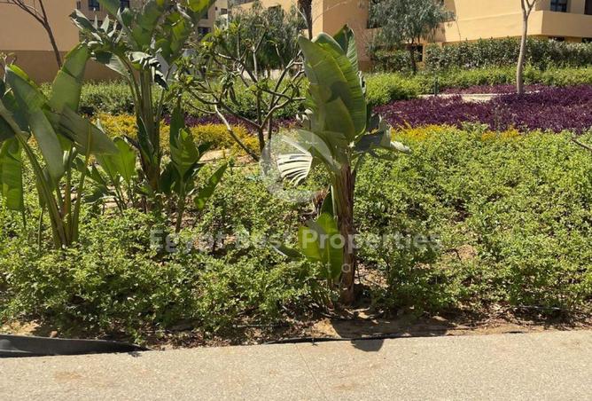 8385310 - Property Main Image