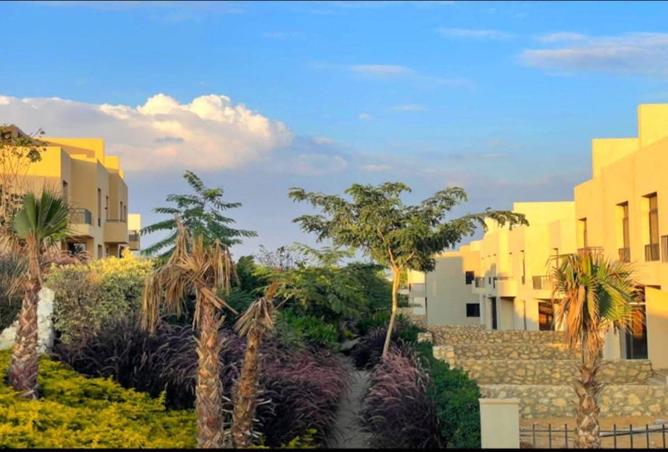 7886180 - صورة العقار 3