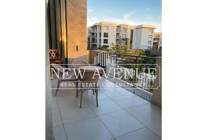 8197285 - Property Image 2