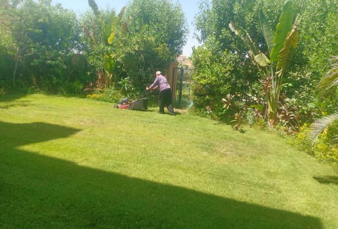 8523907 - صورة العقار 2