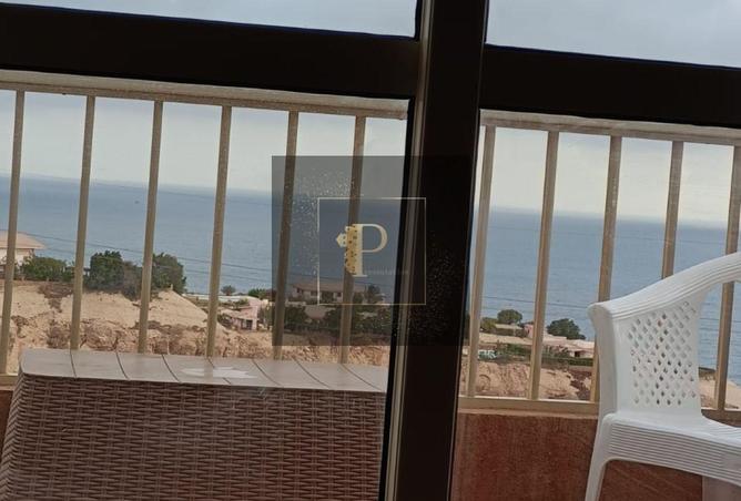 8223086 - صورة العقار 3