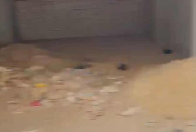 8489869 - Property Image 3