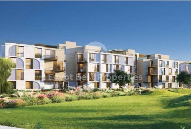 8435556 - Property Image 3